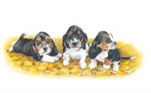 Three black, tan and white basset hound puppy dogs sit on a pile of leaves