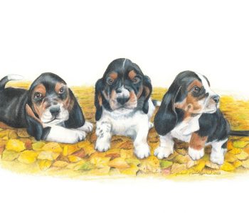 Three black, tan and white basset hound puppy dogs sit on a pile of leaves
