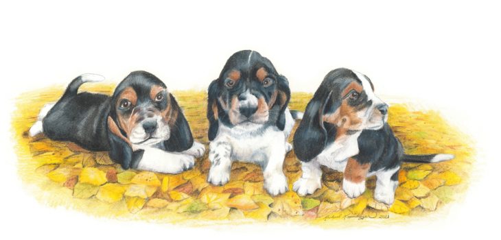 Three black, tan and white basset hound puppy dogs sit on a pile of leaves