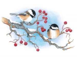two chickadee birds rest on a snowy branch with red berries