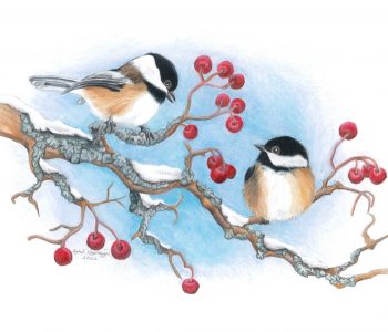 two chickadee birds rest on a snowy branch with red berries