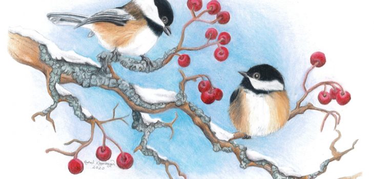 two chickadee birds rest on a snowy branch with red berries