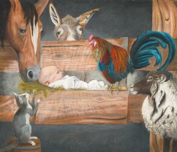 Christmas nativity image of baby Jesus in a manger surrounded by sheep, horse, donkey, cat, and rooster