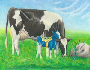 Blue dala calf sticks close to mama Holstein cow