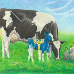 Blue dala calf sticks close to mama Holstein cow