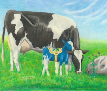 Blue dala calf sticks close to mama Holstein cow