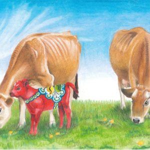 Pair of jersey cows grazing with dala calf