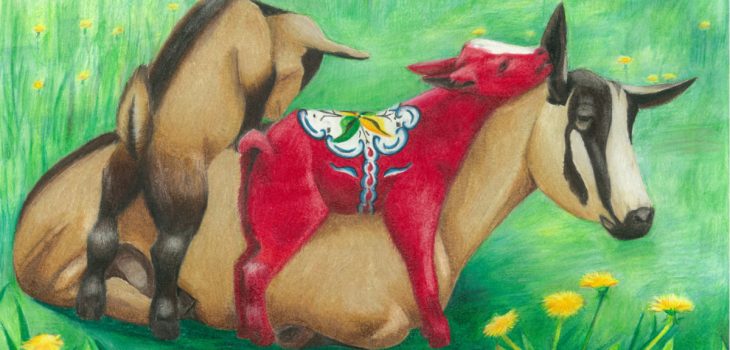 Nanny goat puts up with her curious kids climbing on her, one of which is a red dala goat