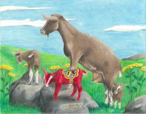 Nanny goat keeps watch over her three kids, one of which is a red dala goat