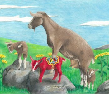Nanny goat keeps watch over her three kids, one of which is a red dala goat