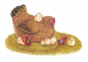 Little red banty chicken watches over her chicks, which include two red dala chicks