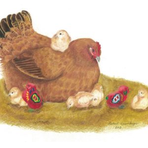 Little red banty chicken watches over her chicks, which include two red dala chicks