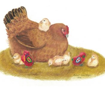 Little red banty chicken watches over her chicks, which include two red dala chicks