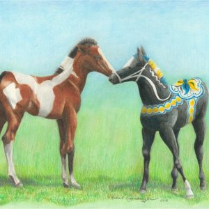 bay paint foal warily meets a black dala horse foal