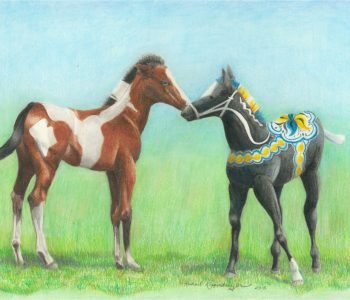 bay paint foal warily meets a black dala horse foal