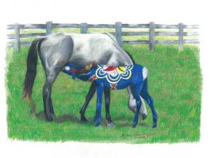 Blue dala foal nurses from a grey mare