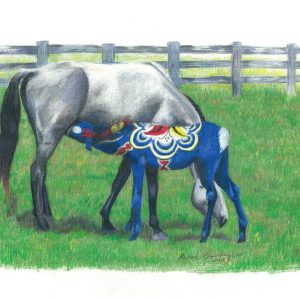 Blue dala foal nurses from a grey mare