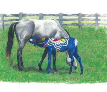 Blue dala foal nurses from a grey mare