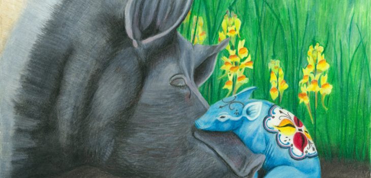 Hampshire sow sleeps with newborn dala piglet snuggled against her snout