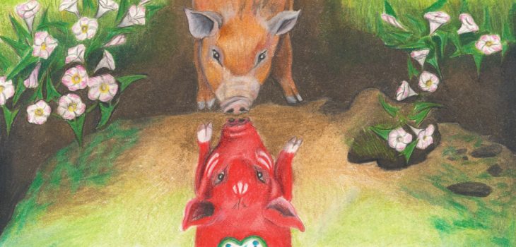 Reddish pig looks at its dala pig reflection in a mud hole