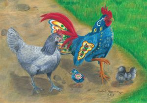 Handsome blue dala rooster struts with Andalusian hen chicken and chicks