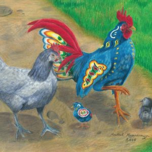 Handsome blue dala rooster struts with Andalusian hen chicken and chicks