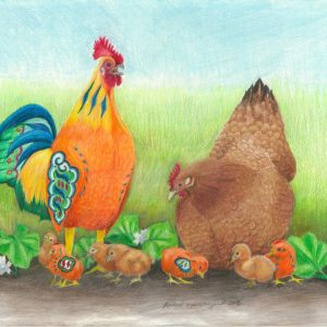 Orange dala rooster crows next to brown banty chicken and her chicks