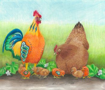 Orange dala rooster crows next to brown banty chicken and her chicks