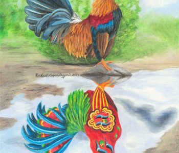Rooster crows over the reflection of a dala chicken in the puddle