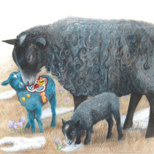 Gotland ewe nuzzles her blue dala lamb