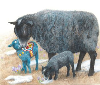 Gotland ewe nuzzles her blue dala lamb