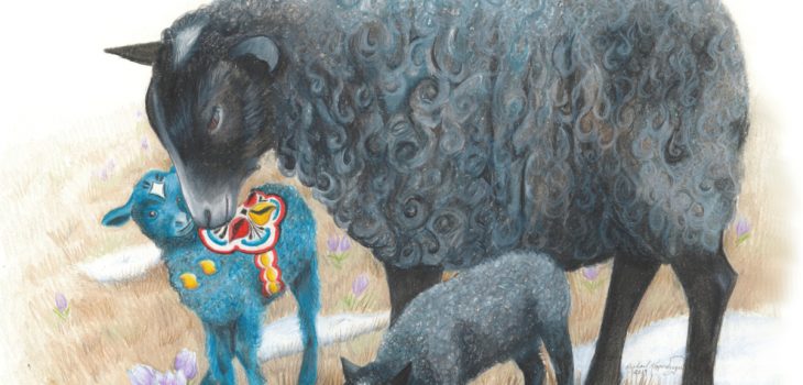 Gotland ewe nuzzles her blue dala lamb