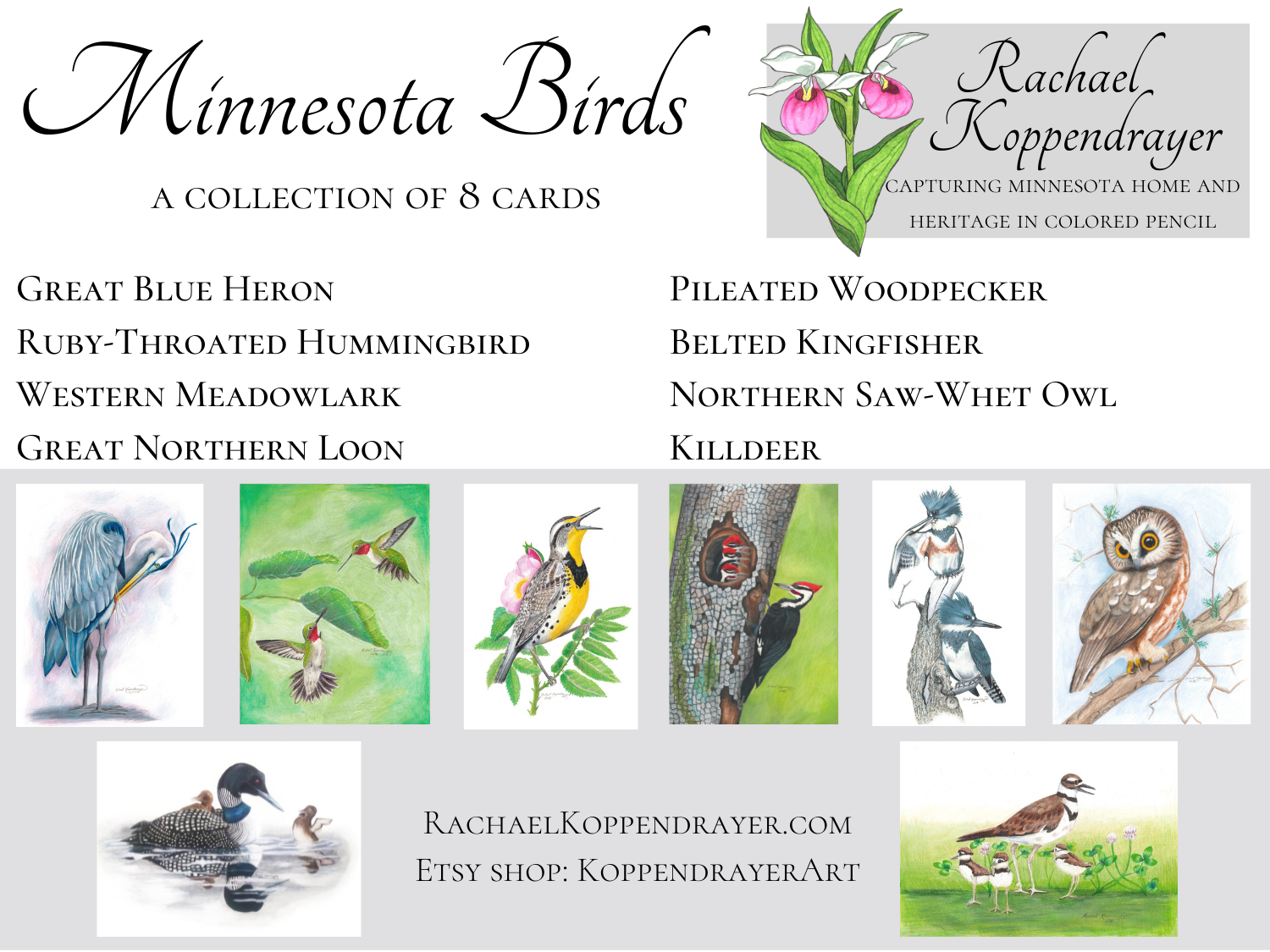 Minnesota Birds Collection - Image 10