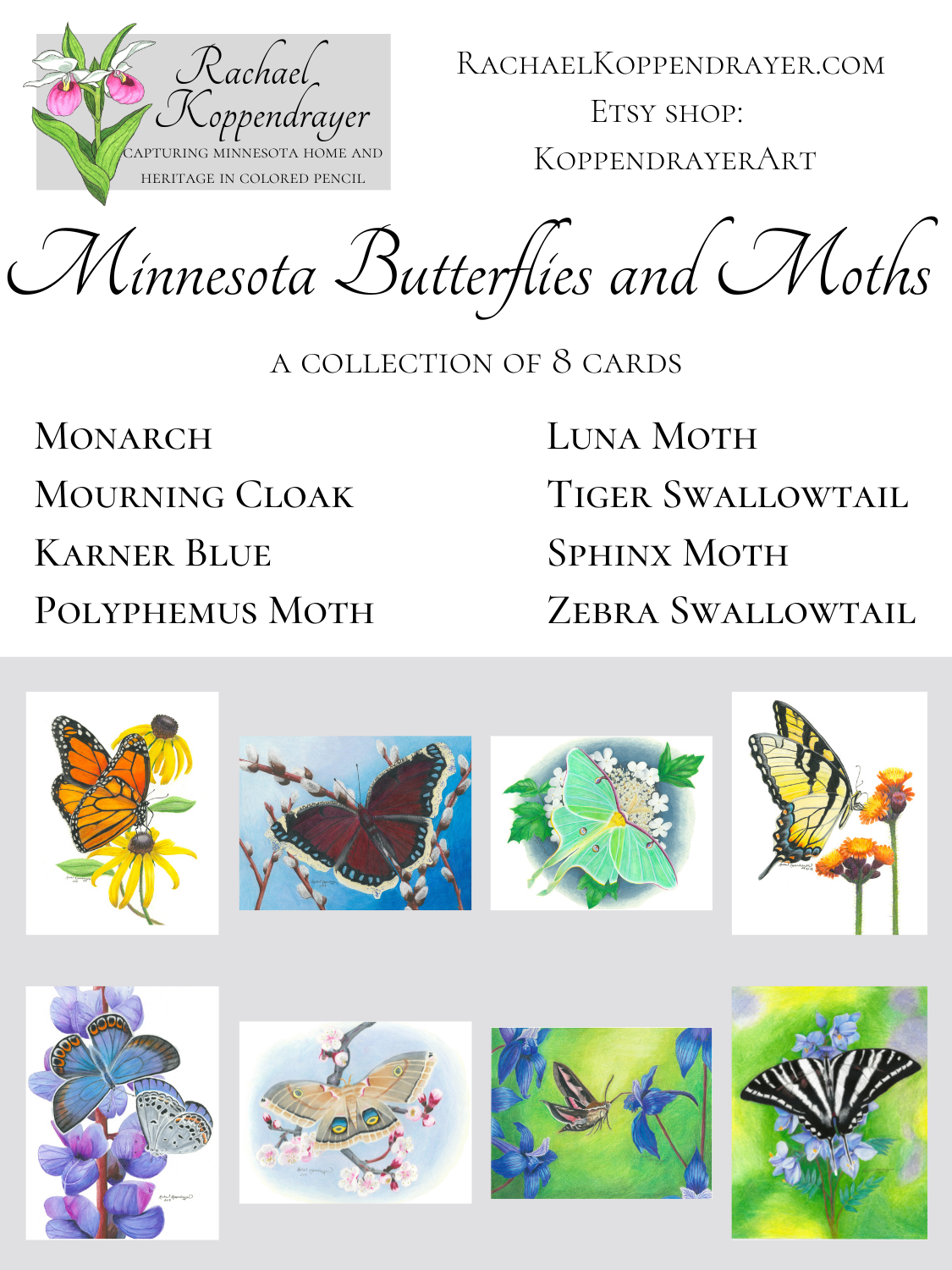 Minnesota Butterflies Collection - Image 10