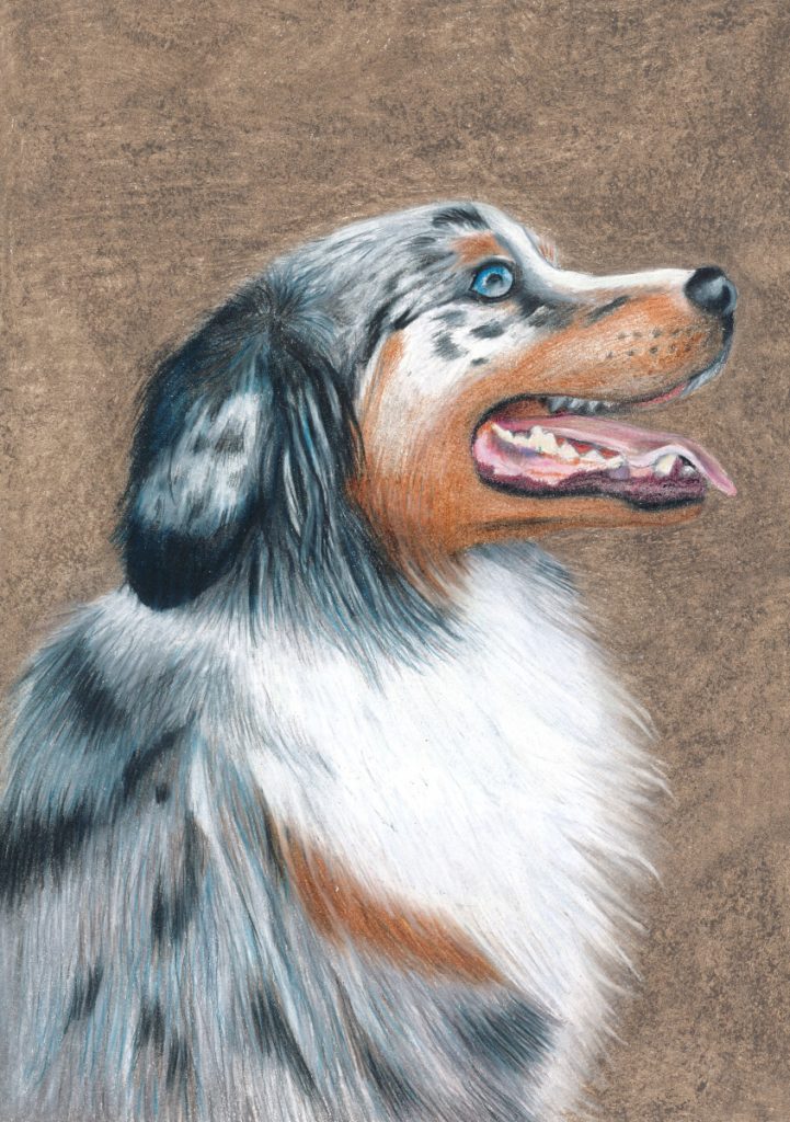 Duchess