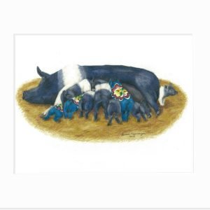 Matted Print of a Hampshire sow nursing 9 piglets, in which three are colored like blue dala pigs