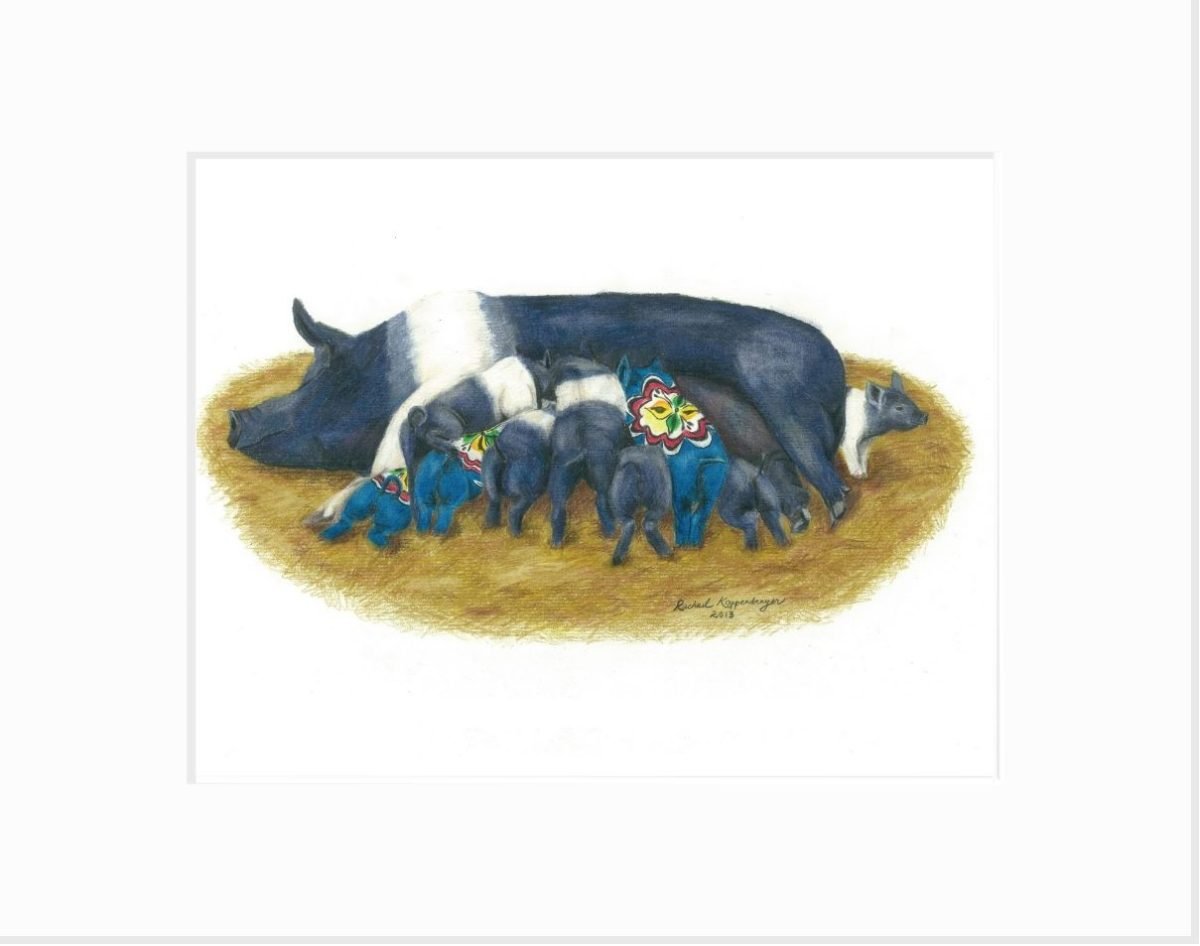 Matted Print of a Hampshire sow nursing 9 piglets, in which three are colored like blue dala pigs