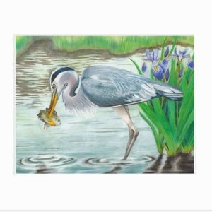 Great Blue Heron: Fishing Giclée Print