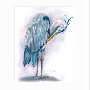 Great Blue Heron: Preening Giclée Print