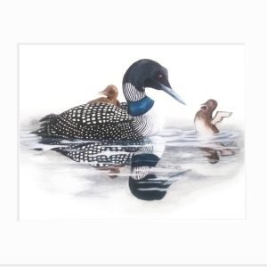 Loon: Born for the Water Giclée Print