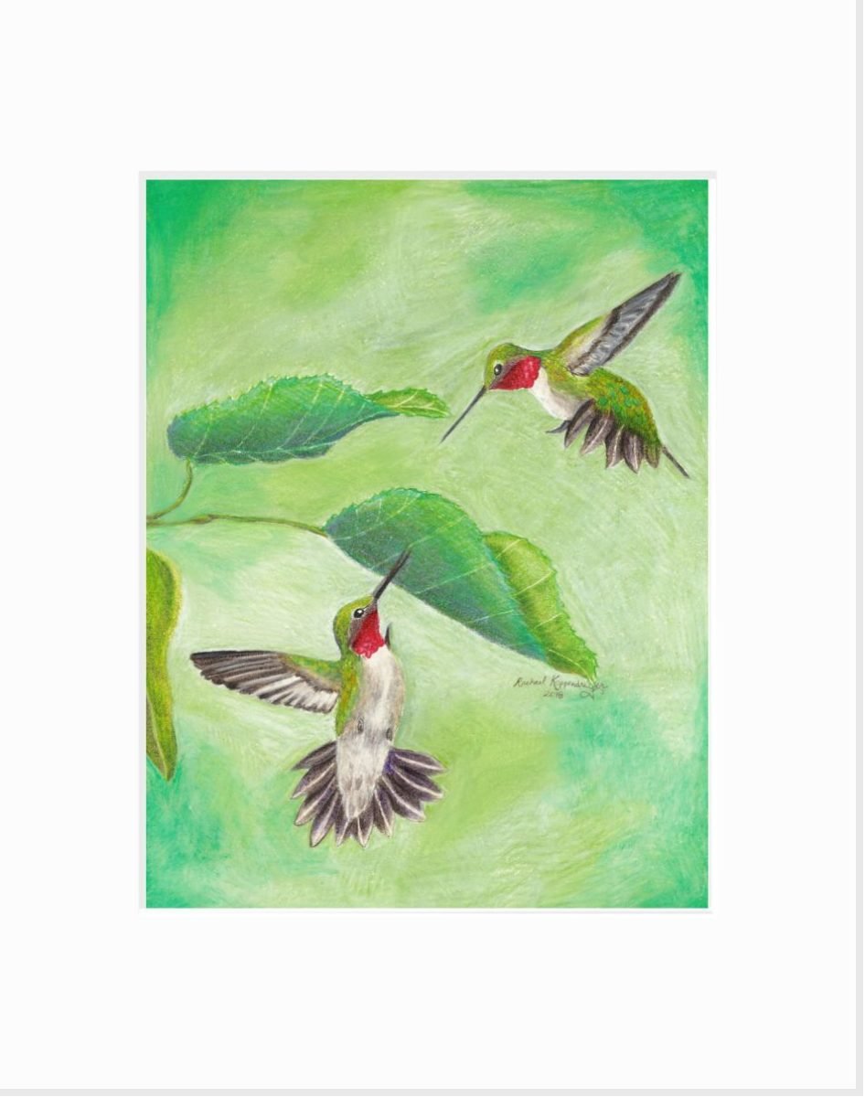 Ruby-Throated Hummingbird: Territory Giclée Print