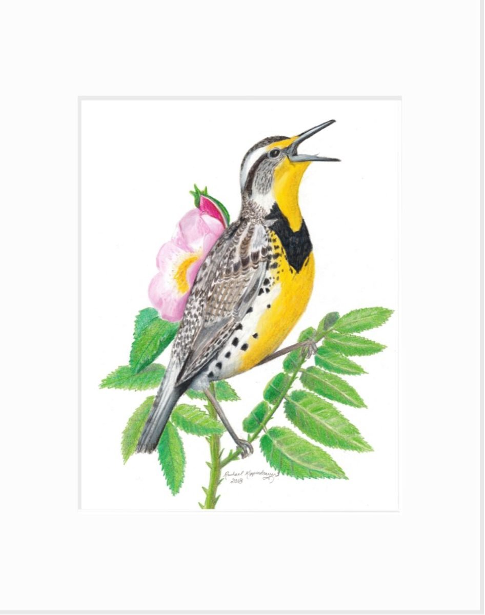 Western Meadowlark Giclée Print