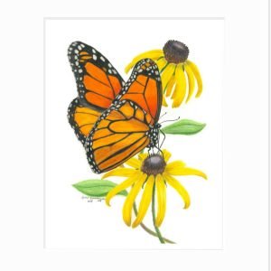 Monarch Butterfly Giclée Print