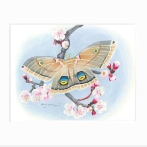 Polyphemus Moth Giclée Print