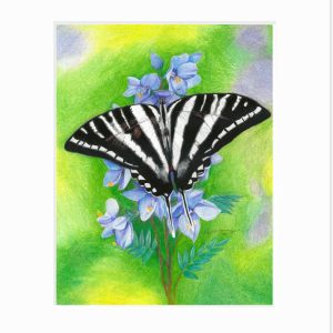 Zebra Swallowtail Giclée Print