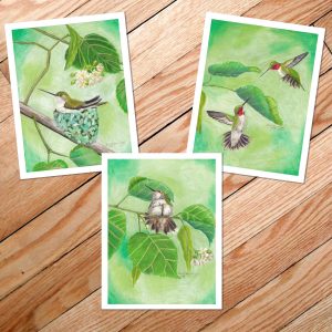 Three ruby throated hummingbird cards