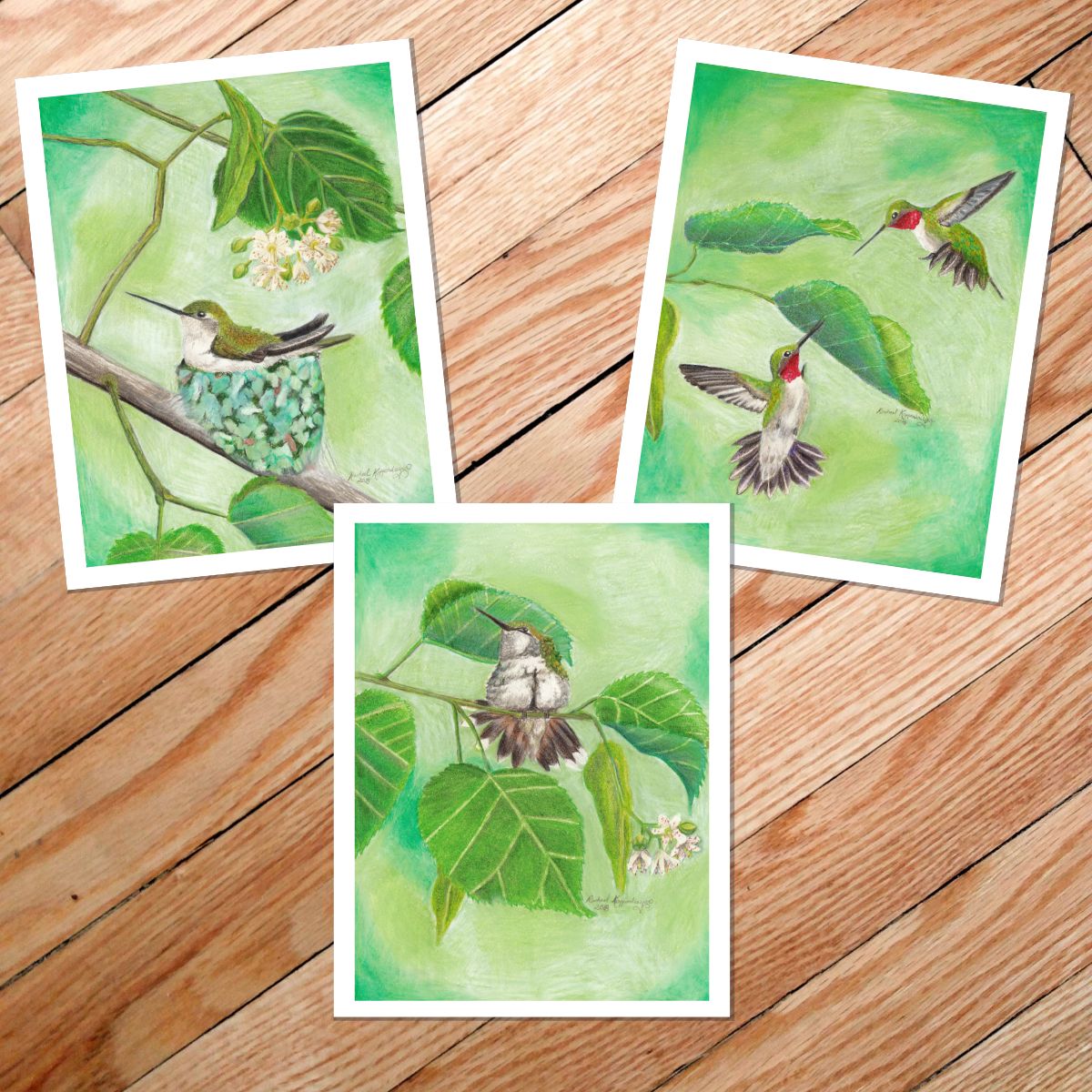 Three ruby throated hummingbird cards