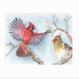 Northern Cardinal Giclée Print