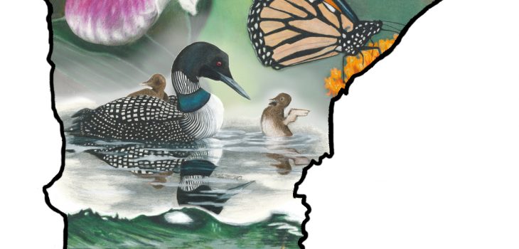 Walleye fish, showy lady's slipper flower, monarch butterfly, and state bird loon fill a Minnesota state outline