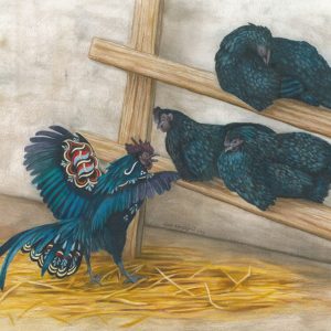 Dala rooster crows at a trio of sleepy Svarthöna, or Swedish black chickens.